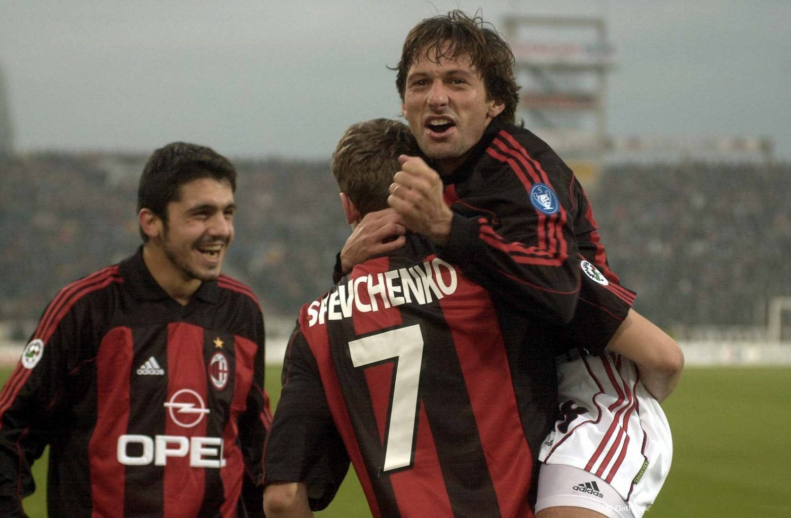 验丰富的中 验丰富的中